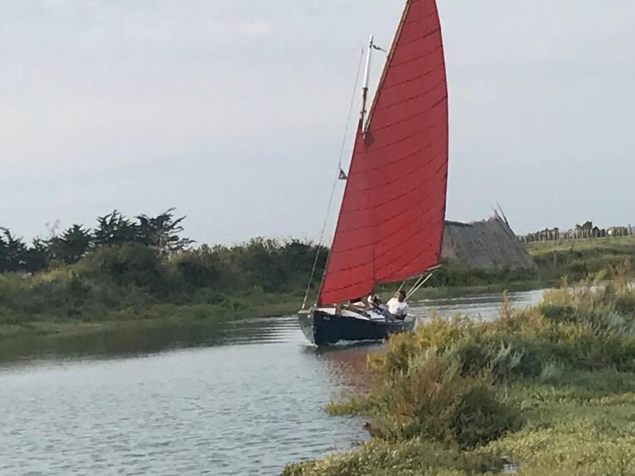 Maison De Village Et Jardin , A Mornac Sur Seudre 외부 사진